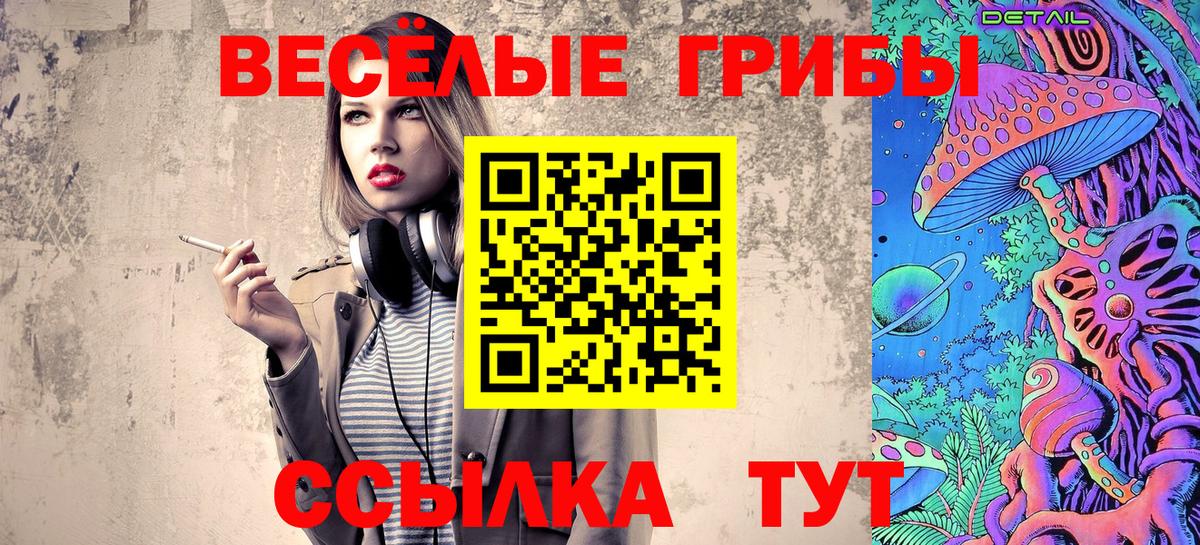 Зеленокумск  Псилоцибиновые грибы GOLDEN TEACHER  Вход с VPN  Галлюциногенные грибы Cubensis 