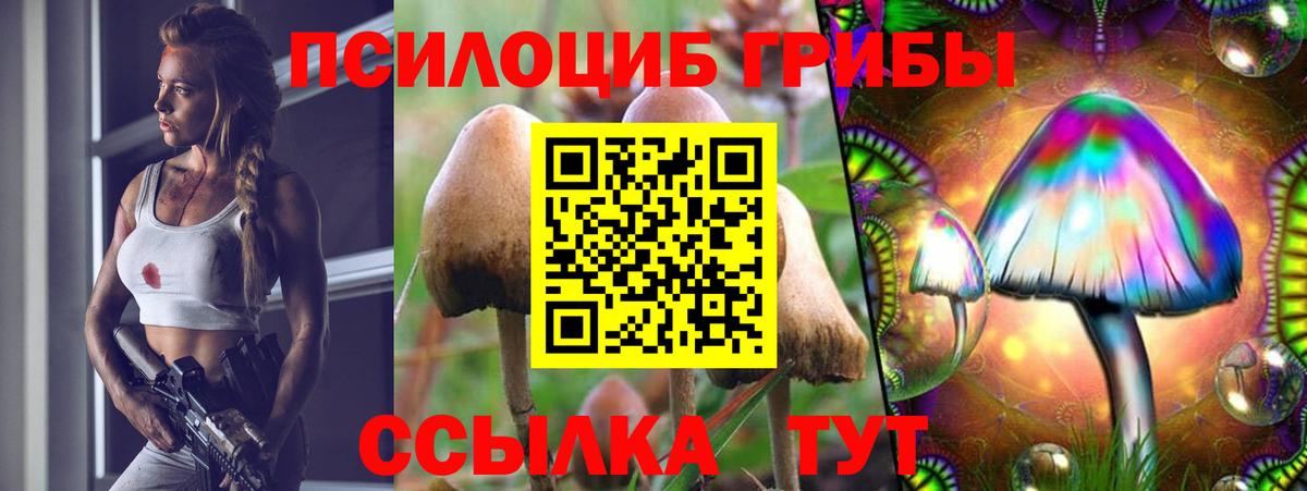 Галлюциногенные грибы прущие грибы Зеленокумск